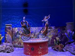 -上海海昌海洋公园