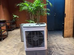 -滇野云南野生菌餐厅(陕西南路店)