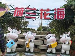 -荷兰花海