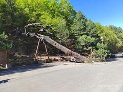 -藏山旅游风景区