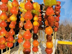 -长春世界雕塑园冰雪艺术天地