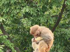 -御轩足道·SPA·养生·保健(瑞金北路店)