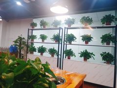 -皖北巫氏三胖地锅鸡(正大店)