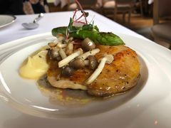 -蝶舍·MAISON PAPILLON