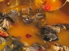 -Darling Queen·Mini·Live·House