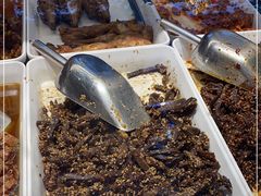 -鑫记婆婆兔·兔头(春熙店)