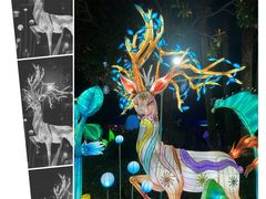 -海合安武汉极地海洋公园