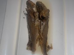 -大鸭梨烤鸭(枣园店)