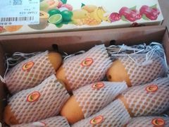 -三亚新鸿港水果一级批发市场