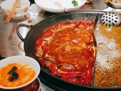 -朱光玉火锅馆(正弘城店)