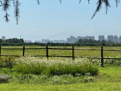 -汉长安城未央宫国家考古遗址公园