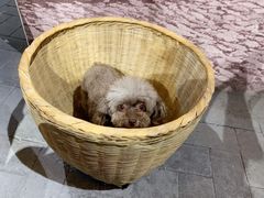 -烂摊摊火锅集市(河北总店)