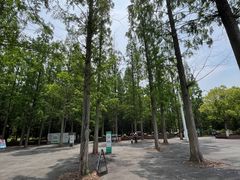 -东平国家森林公园