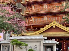 -大佛寺高级素食自助餐厅