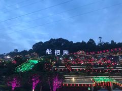 -枇杷园食为鲜火锅(南山店)