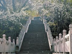 -塔尔寺