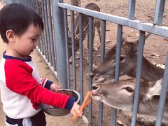 -西安秦岭野生动物园