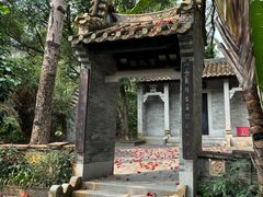 -深圳国际园林花卉博览园