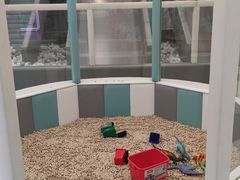 -碧中海汤泉汗蒸酒店