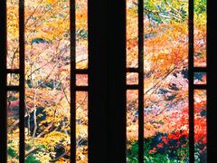 -中国茶叶博物馆(双峰馆区)