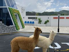 -Blue Concept Cafe&Farm·關於藍