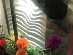 -英子补身汤(海兰路店)