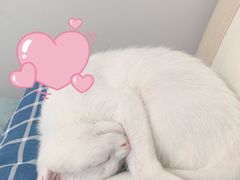 -成都恒博医院·全科检查