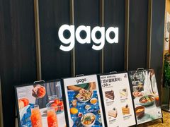 -gaga(深圳南山益田假日广场店)