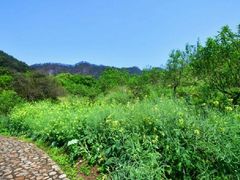 -广州市石门国家森林公园