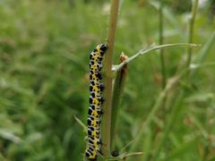 -长春公园(普阳街道)