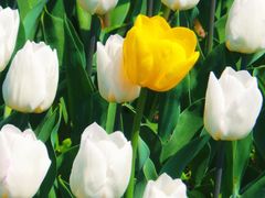 -北京植物园-展览温室