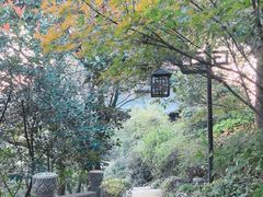 -杭州半山国家森林公园