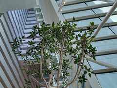 -RISE RESTAURANT(滨海湾金沙店)