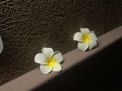 -厘舍SPA(运达店)