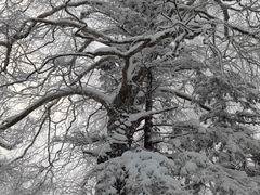 -雪谷