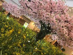 -当当书店(国泰广场店)