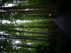 android_upload_pic-上海怡沁园度假酒店