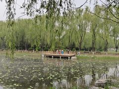 -东升八家郊野公园