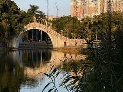 -金砂公园