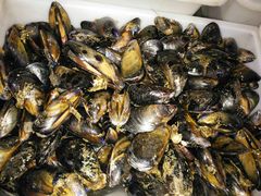 -宾朋海鲜美食特色餐厅·纯手工鲅鱼水饺(兴海路店)