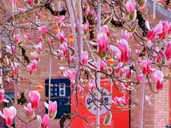 -天津五大道文化旅游区