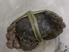 阳澄湖大闸蟹-品鲜村农家菜·阳澄湖大闸蟹(总店)