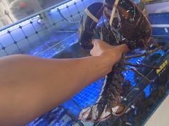 -日照大牌檔•小船海鲜(万平口店)
