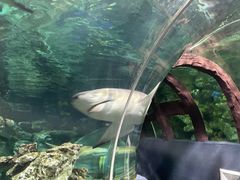 -杭州海底世界