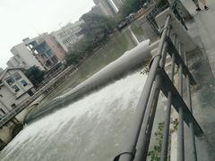 -339旋转餐厅(天府熊猫塔店)