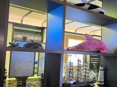 -童趣廊·儿童波波池·海洋球(长隆横琴湾酒店)