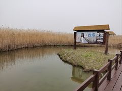 -宁波杭州湾国家湿地公园