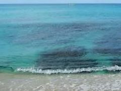 -白沙湾海滩