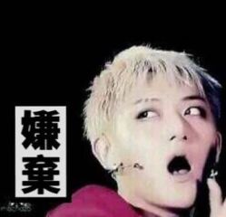 -摩睫+皮肤管理·科学美容中心