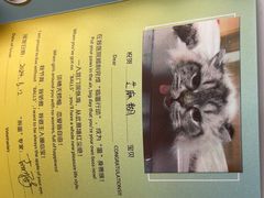 -艾贝尔宠物医院·24H转诊中心·肿瘤猫专科(江宁双龙店)